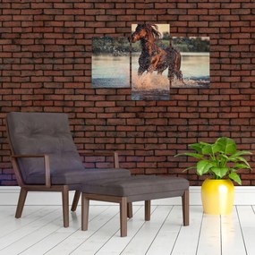 Tablou - Cal care aleargă (90x60 cm)