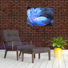 Tablou pe sticlă florilor în detailu (70x50 cm)