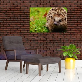 Tablou cu arici (90x60 cm)