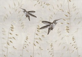Fototapet - Colibri (147x102 cm)