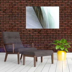 Tablou - Pene, macro (90x60 cm)