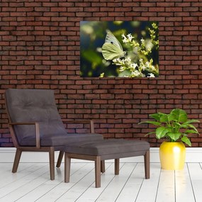 Tablou pe sticlă cu fluture (70x50 cm)