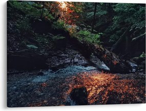 Tablou cu râu montan (70x50 cm)