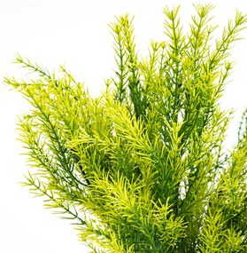 Buchet artificial Asparagus, 53 cm