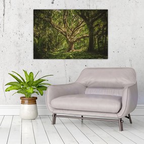 Tablou cu copaci (90x60 cm)