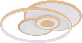 Globo 48442-50SH - Plafonieră LED dimabilă RODERICK 50W/230V 46x54,5 cm+telecomandă