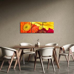 Tablou - Flori Gerbery (cu ceas) (90x30 cm)