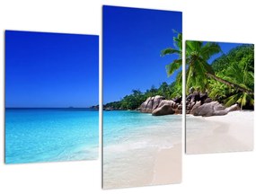 Tablou cu plaja pe insula Praslin (90x60 cm)