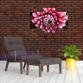 Tablou cu dalie roz (90x60 cm)