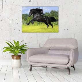 Tablou pe sticlă - Cal cu o coamă curgătoare (70x50 cm)