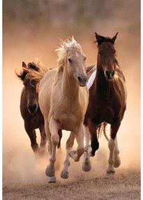 Cal Running Puzzle Clementoni de 1000 de piese