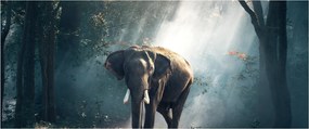 Tablou cu elefant în djunglă (120x50 cm)