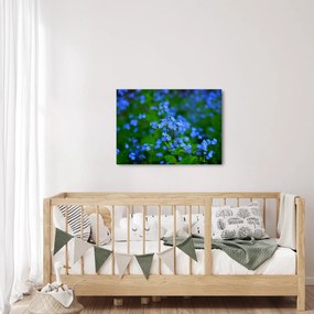Tablou cu flori albastre (70x50 cm)