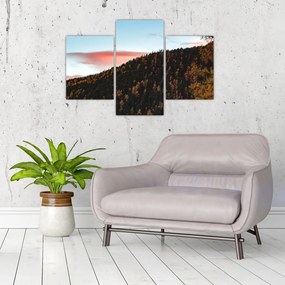 Tablou - Zori de zi (90x60 cm)