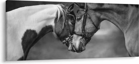 Tablou - Cai îndrăgostiți,alb-negru (120x50 cm)