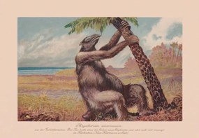 Ilustrație Megatherium americanum, extinct giant ground sloth,, ZU_09