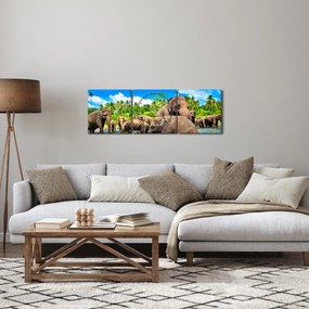 Tablou - Elefanți, Sri Lanka (cu ceas) (90x30 cm)