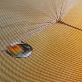 Tablou - Flori macro (cu ceas) (90x30 cm)