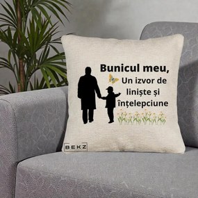 Cadou pentru Bunic - Perna Personalizata Bunicul Meu Izvor de Liniste cu Fluture si Baietel, 40x40 cm, Bej Canapea, Husa Detasabila, Perna Inclusa, BEKZ®