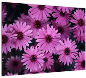 Tablou pe sticlă cu florile roz (70x50 cm)
