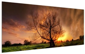 Tablou cu copac în natură (120x50 cm), în 40 de alte dimensiuni noi