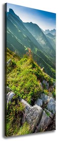 Tablou canvas Munte de vară