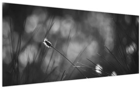 Tablou - Iarbă de pajiște (120x50 cm)