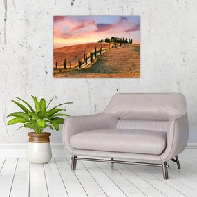 Tablou - Casa pe deal Toscana, Italia (70x50 cm)