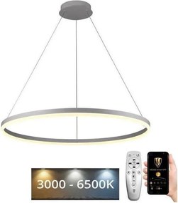 Brilagi - Lampă suspendată LED CIRCLE, dimabilă, pe cablu, 55W/230V 3000-6500K + telecomandă