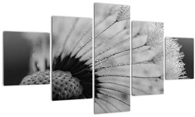 Tablou cu păpădie - albnegru (125x70 cm), în 40 de alte dimensiuni noi