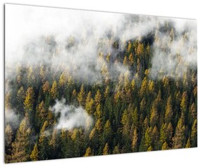 Tablou - Pădure în nori (90x60 cm)