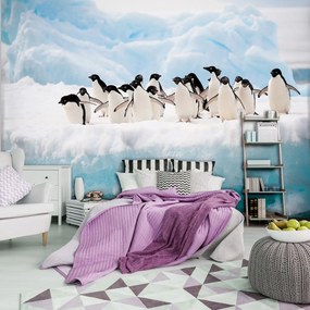 Fototapet - Pinguini (152,5x104 cm)