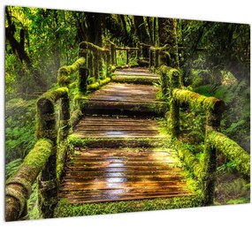 Tablou cu scări într-o pădure tropicală (70x50 cm), în 40 de alte dimensiuni noi