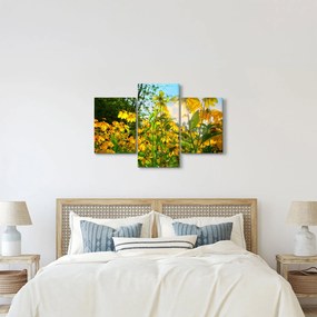 Tablou - Flori galbene (90x60 cm)