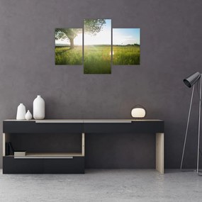 Tablou - Copac în câmp (90x60 cm)