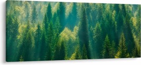 Tablou - Pădurea de brazi (120x50 cm)