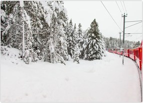 Tablou - Tren într-un peisaj înzăpezit (70x50 cm)