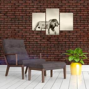 Tablou - Leul flămând (90x60 cm)