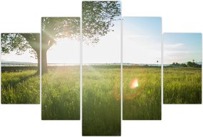 Tablou - Copac în câmp (150x105 cm)