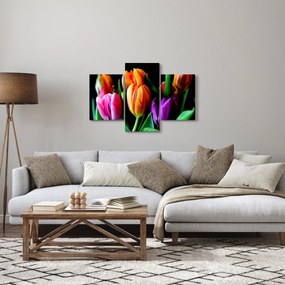 Tablou -Lalele pe fond negru (90x60 cm)