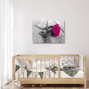 Tablou pe sticlă - Trandafir roz (70x50 cm)