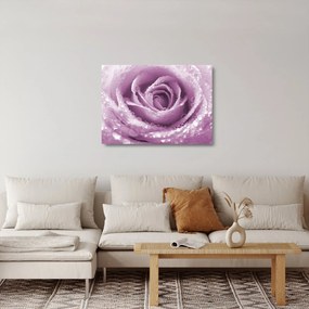 Tablou pe sticlă detaliu de floare de trandafir (70x50 cm)
