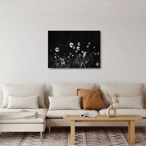 Tablou pe sticlă - Pajiște cu iarbă de cozonac N⁰1 (70x50 cm)