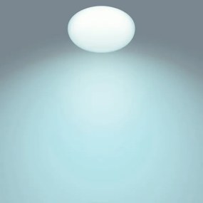 Philips TOBA LED plafonieră dimabilă 1x23W/230V cu telecomandă