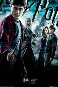 Poster Harry Potter și Prințul Semipur, (61 x 91.5 cm)