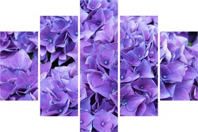 Tablou cu flori violete (150x105 cm)