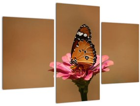 Tablou cu fluture pe floare (90x60 cm)
