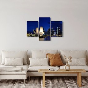 Tablou Singapore nocturn (90x60 cm)