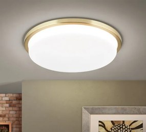 Plafoniera LED moderna LEROX 40cm alama mat