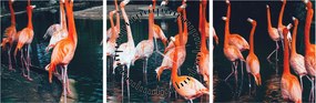 Tablou - turmă de flamingo (cu ceas) (90x30 cm)